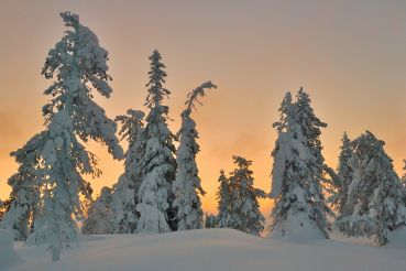 Parque Nacional Oulanka